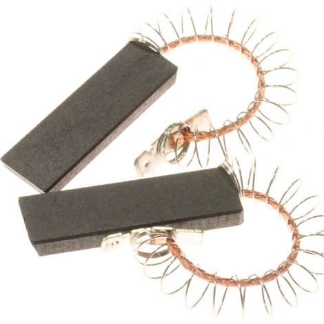 Charbons moteur d'origine