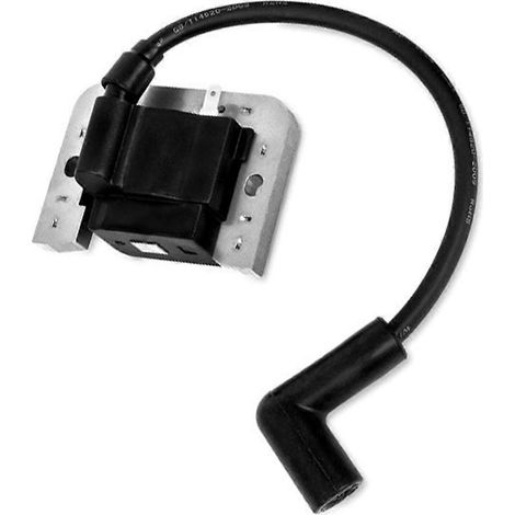 Module de bobine d'allumage 3258406-S pour moteurs de tondeuses à gazon KTBlack (1/5)