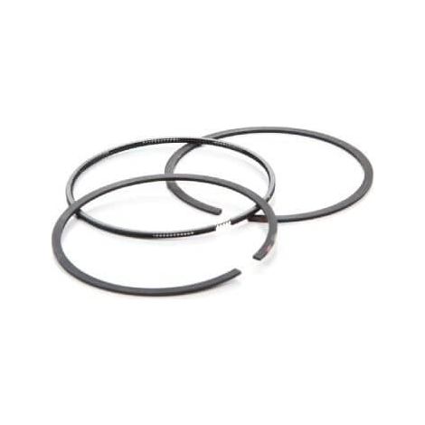 Segmenti BRIGGS ET STRATTON 696403