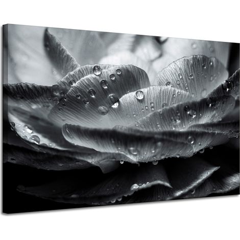 Leinwanddruck Blume in Tautropfen 120x80 cm