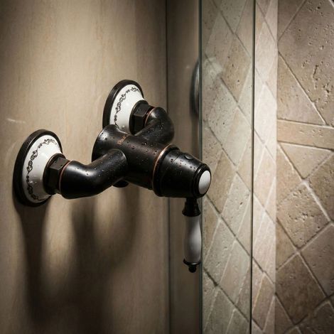 PaulGurkes Robinet de Douche Rétro Noir Design Monocommande (1/5)