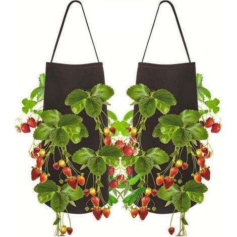 Sac de culture potager 2 pcs – avec fenêtre d’observation et poignée, idéal pour fraises, tomates et légumes, en tissu non tissé résistant (1/5)