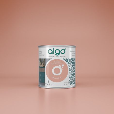 Peinture pour Meuble - Rose Bréhat - 2L / Mat