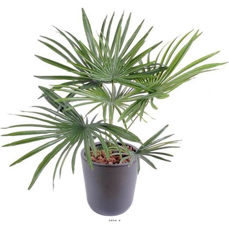Mexicain Fan Palmier Artificiel en piquet H 53 cm