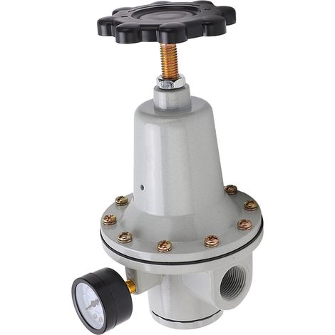Kit de régulateur de pression pour système d'air comprimé avec manomètre, vanne de réduction de pression pneumatique (Qté : 20 G3/4) (1/5)