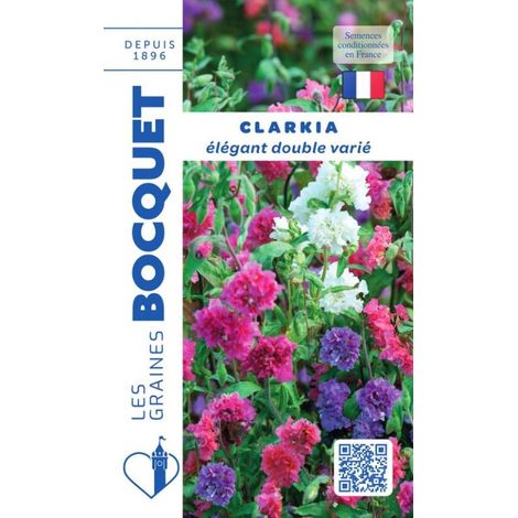 Clarkia Elégant double varié - 1,5g
