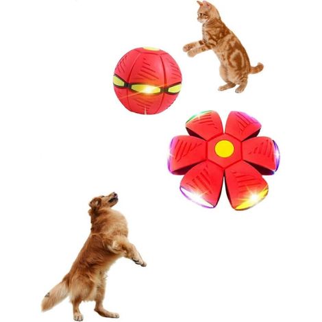 Balles interactives pour chiens, balles magiques à rouler, balles magiques volantes, jouets interactifs amusants (conviennent aux chats et aux chiens), balles rebondissantes et jouets éducatifs pour a (1/5)