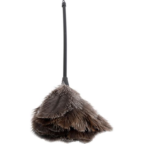 Mini plumeau en plumes d'autruche fait main, lavable et réutilisable, pour livres, clavier, bureau et maison. (1/4)