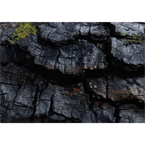 Fototapete Dunkle Holzstruktur 150x105 cm Einfache Montage Hochwertige Qualität (1/5)
