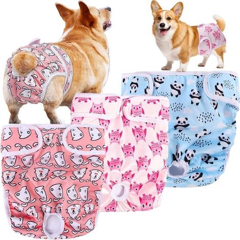 Confezione da 3 pannolini lavabili per cani. Pannolini riutilizzabili per cagne. Super assorbenti e regolabili. Mutandine per cani incontinenza, ideali per le passeggiate. (1/5)