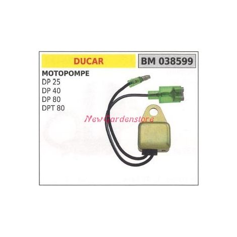Centralina DUCAR motopompa DP 25 40 80 DPT 80 038599