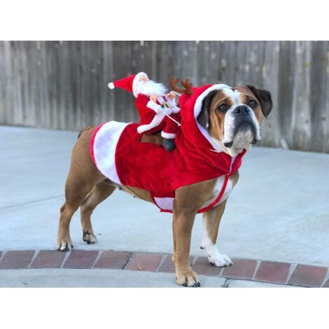 Manteau de Noël pour chien, Père Noël sur son chat, pull de Noël rouge pour chiens – L (1/5)