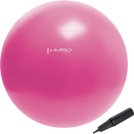55 cm rosa Gymnastikball - platzsicher, rutschfest
