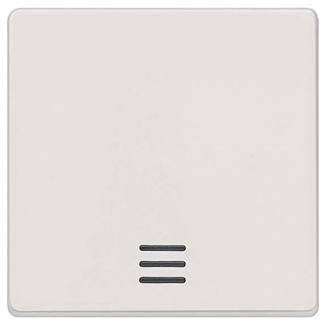 Interrupteur a bascule avec fenetre blanc titan 55 mmx55 mm type de protection IP20 1pc