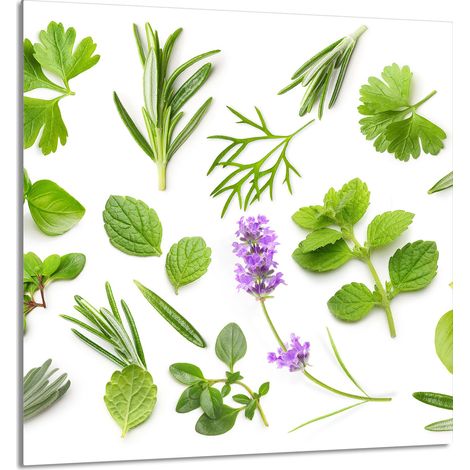 Panneau en verre POUR la cuisine 60x65 Plantes (1/5)