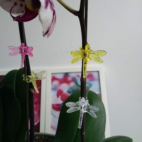 30 pezzi di clip per orchidee, clip in plastica a forma di libellula, clip di supporto per piante da giardino, clip per tralicci di pomodori per fiori, viti, bouquet e steli (1/4)