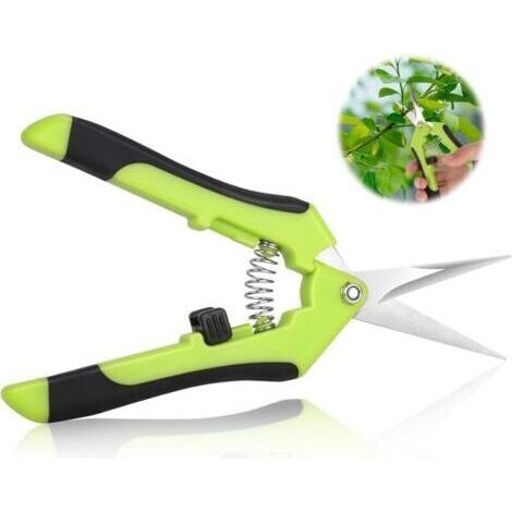 Sécateurs de jardin, cisailles de jardin, sécateurs de jardin ergonomiques, ciseaux à bonsaï, sécateur plante, fleur, branche, rose, bonsaï, légume, fruit (1/4)