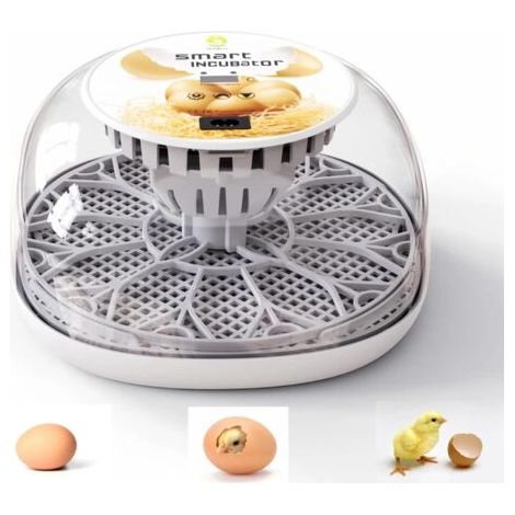 Incubateur automatique pour plusieurs œufs avec fonction de retournement, taux d'éclosion élevé, contrôle numérique de la température et vue à 360 degrés des poulets, canards, oies et oiseaux.