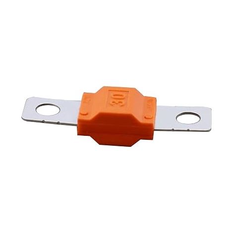 10pcs 30A Fusées Midi Fusées de remplacement Compatible avec le support et les amplificateurs (1/5)