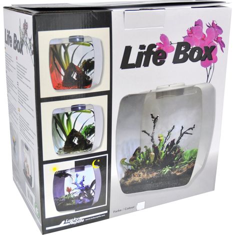 Lucky Rettile Life Box terrario Design (1/3)