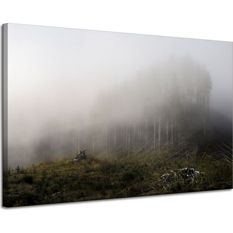 Leinwanddruck Natur Nebel im Wald 120x80 cm