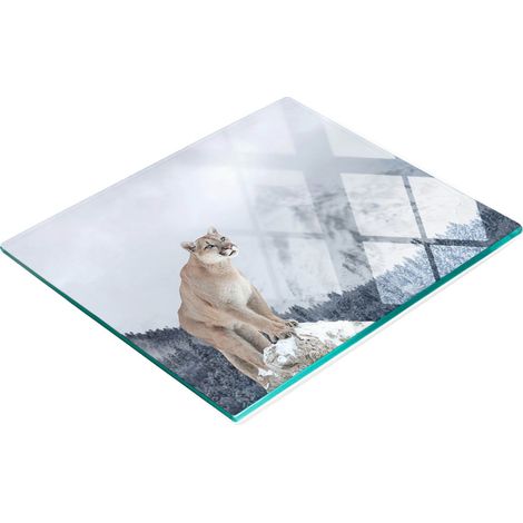 Planche décorative en verre avec motifs pour présenter des amuse-gueules Puma 60x52 cm (1/5)