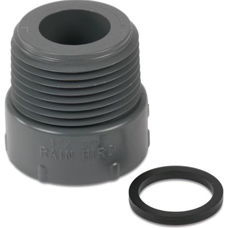 Rain Bird Verschraubung Adapter 1 Zoll AG x 3/4 Zoll IG - Typ RB1239-131 (1/3)
