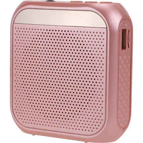 amplificateur vocal sans fil portable multifonctionnel avec microphone pour l'enseignement, la prise de parole en public et les réunions (or rose)-9.28.42.8cm-Golden (1/4)