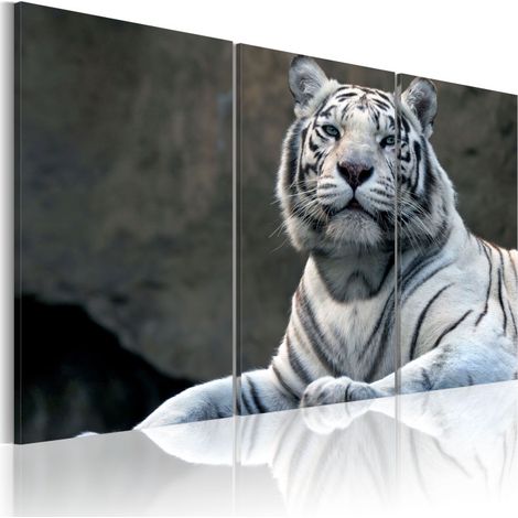 Tableau Imprimé "Tigre Blanc" 40 x 60 cm (1/2)