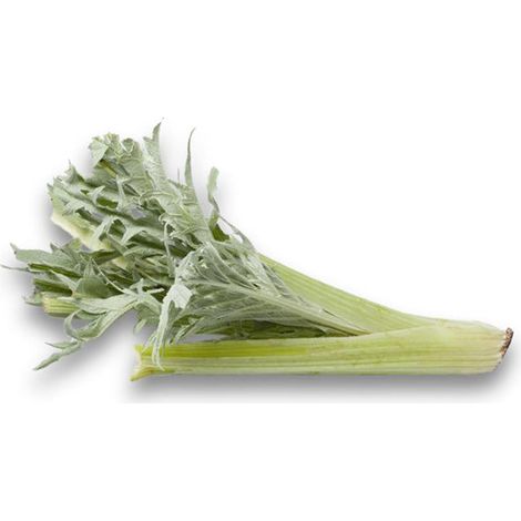 Semi di cardo "Plein blanc inerme" piante per orto e giardino
