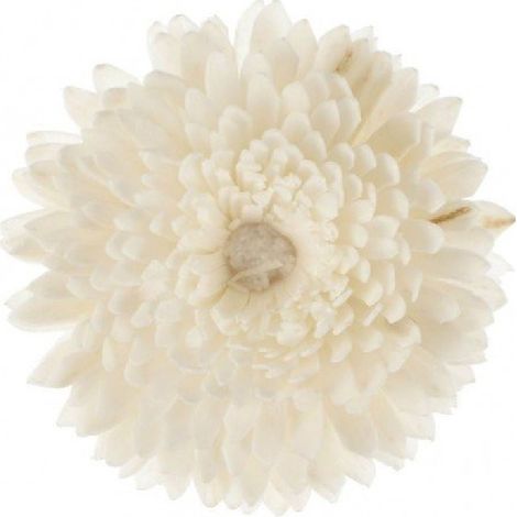 Goa - Fleur de goatier petit modèle CHRISTEN