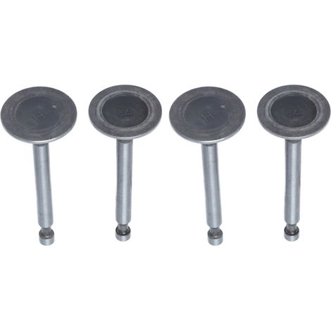 Kit de 2 soupapes moteur en acier inoxydable, admission et échappement, tige pour 2KW 2.5KW 3KW 168F GX160 (1/5)