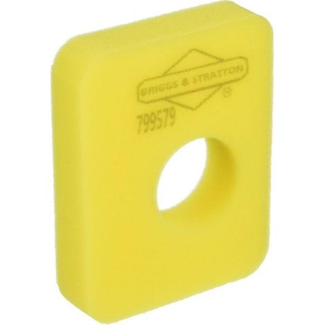 Briggs & Stratton 799579 Filtre à air (1/3)