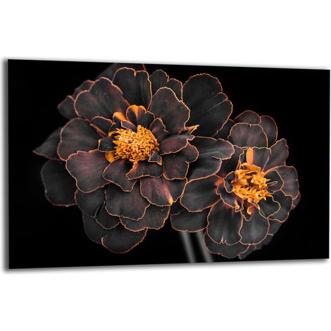 PLAQUE DE PROTECTION EN VERRE POUR CUISINIÈRE 80x52 FLOWER (1/5)