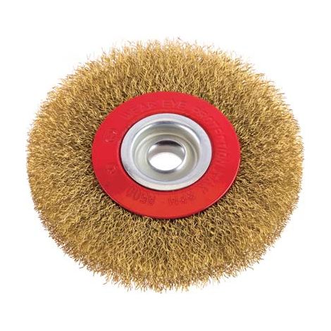 SPAZZOLA ACCIAIO CIRCOLARE + FORO PG - 486.00 MM 100 F.MM 13- 5 pezzi