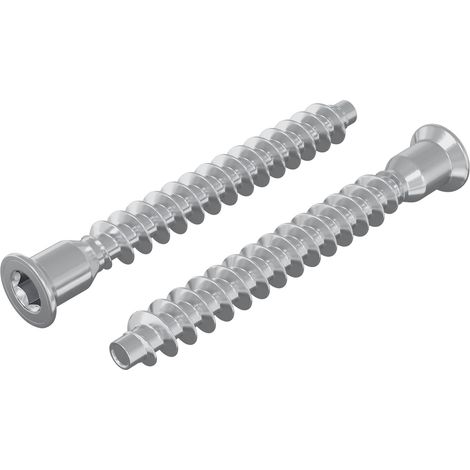 Confirmat Screws 2 pcs Silver Ø7 x 58 mm Metal vidaXL
