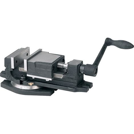 Morsa per macchina, larghezza ganasce 100 mm con tavola rotante / scala graduata, larghezza di serraggio 65 mm WABECO