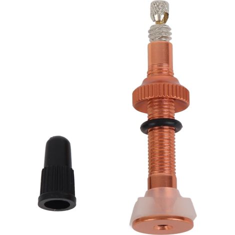 Tige de valve pour vélo sans chambre à air, adaptateur de valve à vide, joint en silicone et aluminium de qualité pour vélo de route (1/5)