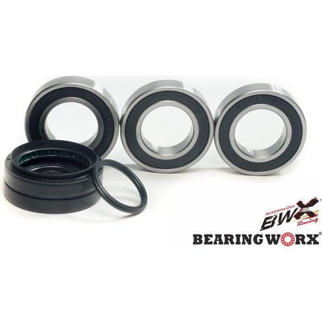 Rodamientos de rueda trasera Bearing Worx con sellos para Honda TRX 250 Recon 97-01, TRX 250TE Recon 02-17, TRX 250TM Recon 02-17, Sportrax 01-19 (25-1034)