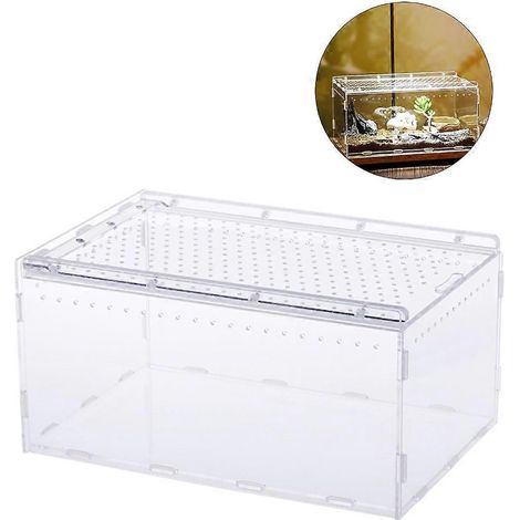 Mini-terrarium en acrylique pour insectes, serpents et tortues - Mini-maison à insectes (1/4)