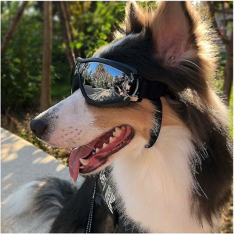 Sonnenbrille für Hunde, wasserdicht, winddicht, UV-Schutz, Schutzbrille für Haustiere (1/5)