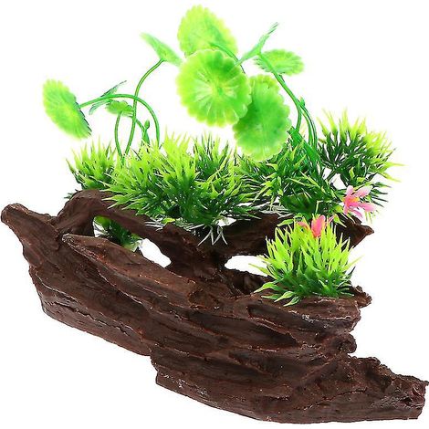 1 racine de bois pour aquarium (1/3)