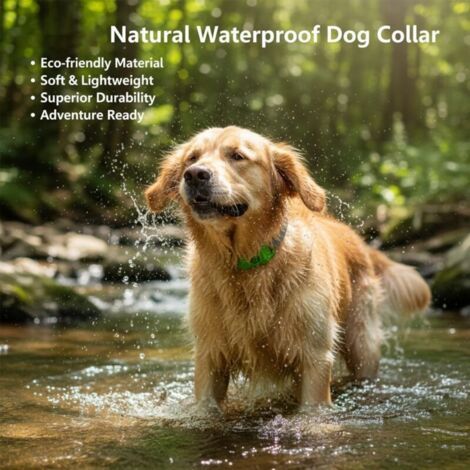 Aquality Pets Collier Anti Puce et Tique Chien Naturel, Pendentif Répulsif aux Huiles Essentielles avec 2 Capsules Remplaçables, Réglable(1PCS)