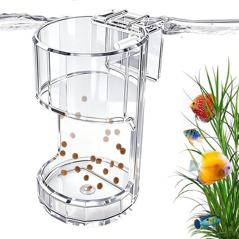 Coupelle d'alimentation pour Aquarium Support Distributeur Bol Alimentaire Plateau d'alimentation pour aquarium Pour Tortue Crevette Betta Maison Salon Lieu De Travail (1/5)
