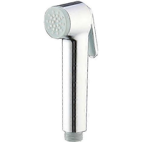 Pommeau de douche monojet, douchette à main avec gâchette, technologie anti-brûlure, économie d'eau, installation et nettoyage faciles, chromé, 26351000 PDWHBYV (1/4)
