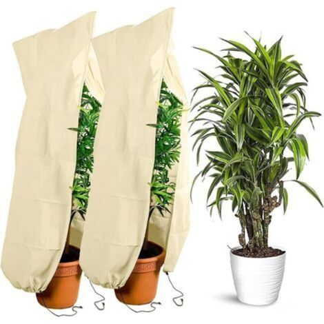 Set di 2 protezioni invernali per piante, 120 x 180 cm, protezione antigelo, con cerniera e coulisse, protezione invernale per alberi, palme e piante da balcone. (1/4)
