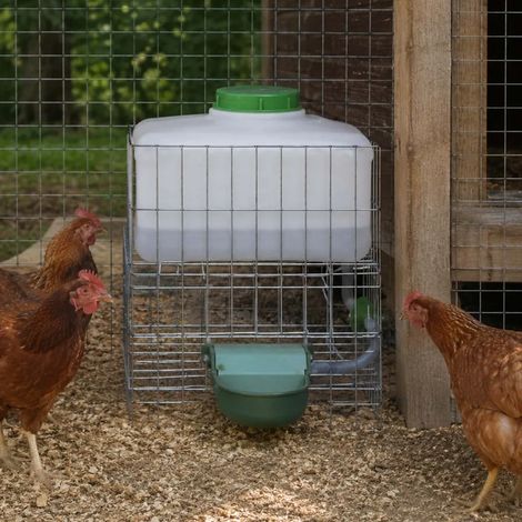 Abreuvoir automatique multi-animaux 10 L Gaun (1/5)