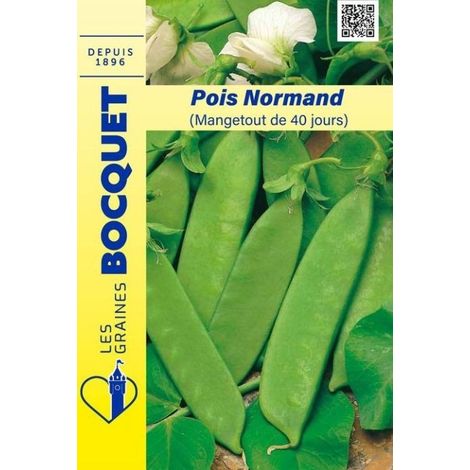 Pois Normand mangetout 40 jours - 150g
