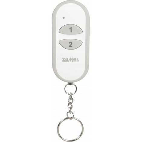 Zamel Télécommande 2-canaux P-457/2 - Noir - Pratique et Facile Utiliser - Idéale pour Domotique (1/5)