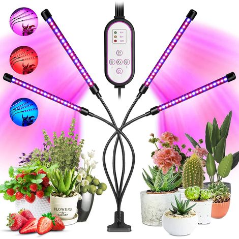 Lampe de croissance d'intérieur pour semis et plantes succulentes-AquaForge (1/5)